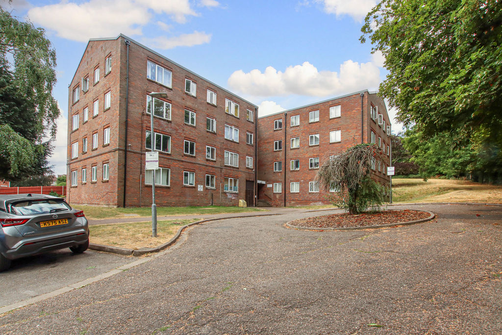 Main Image